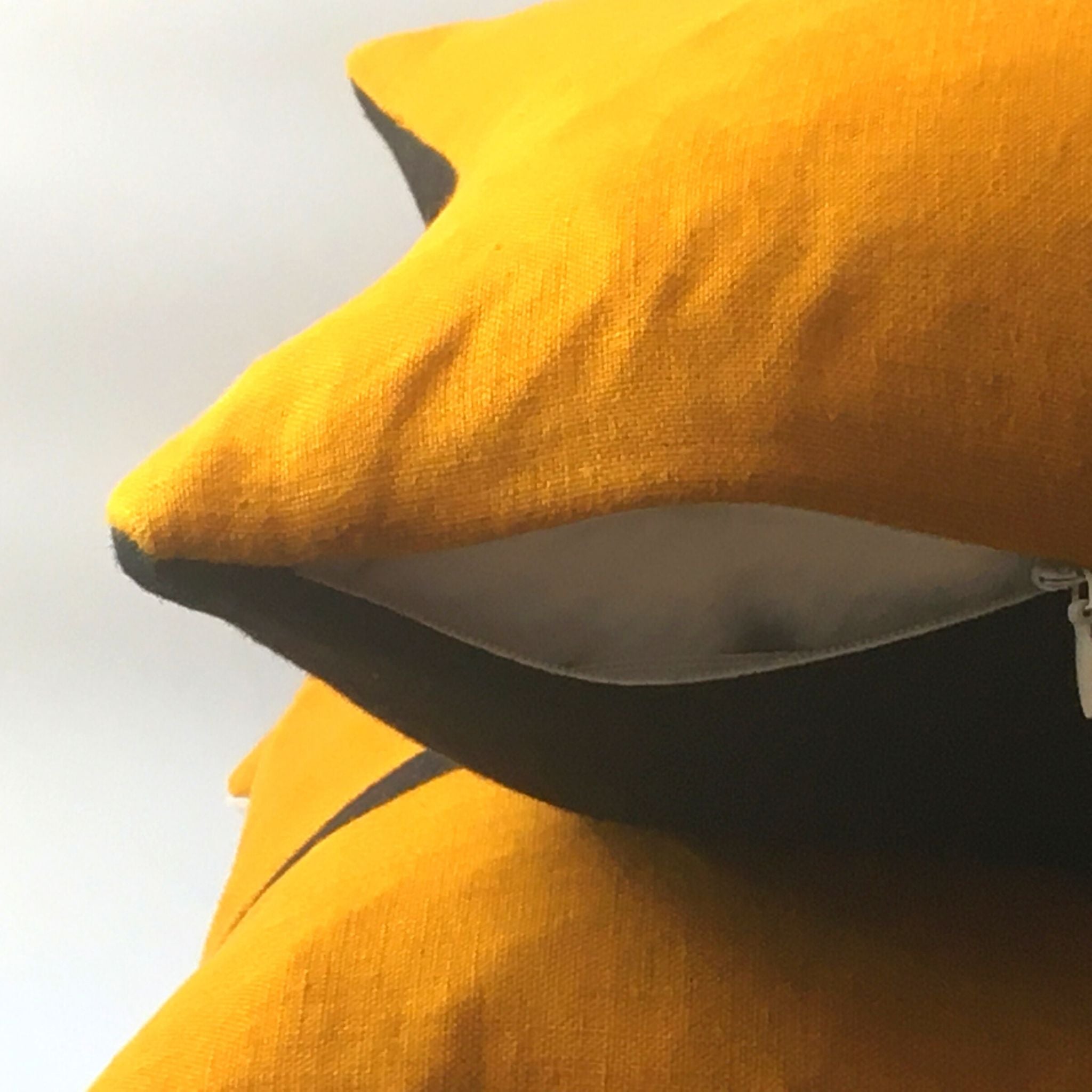 Black and mustard outlet cushions